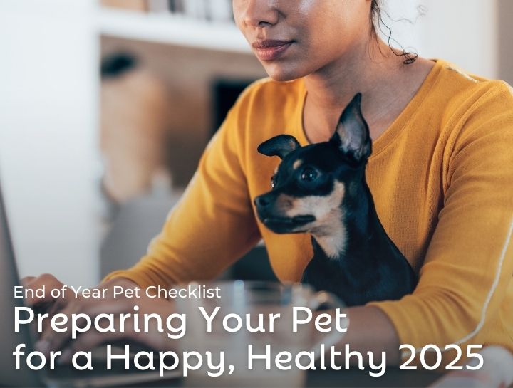 End of Year Pet Checklist: Preparing Your Pet for a Happy, Healthy 2025