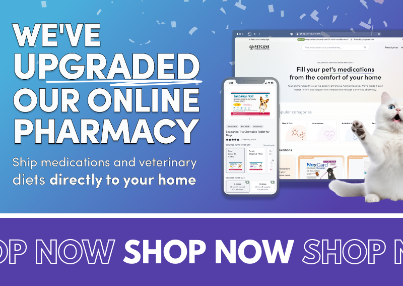 Carousel Slide 5: Shop our online pharmacy and store!